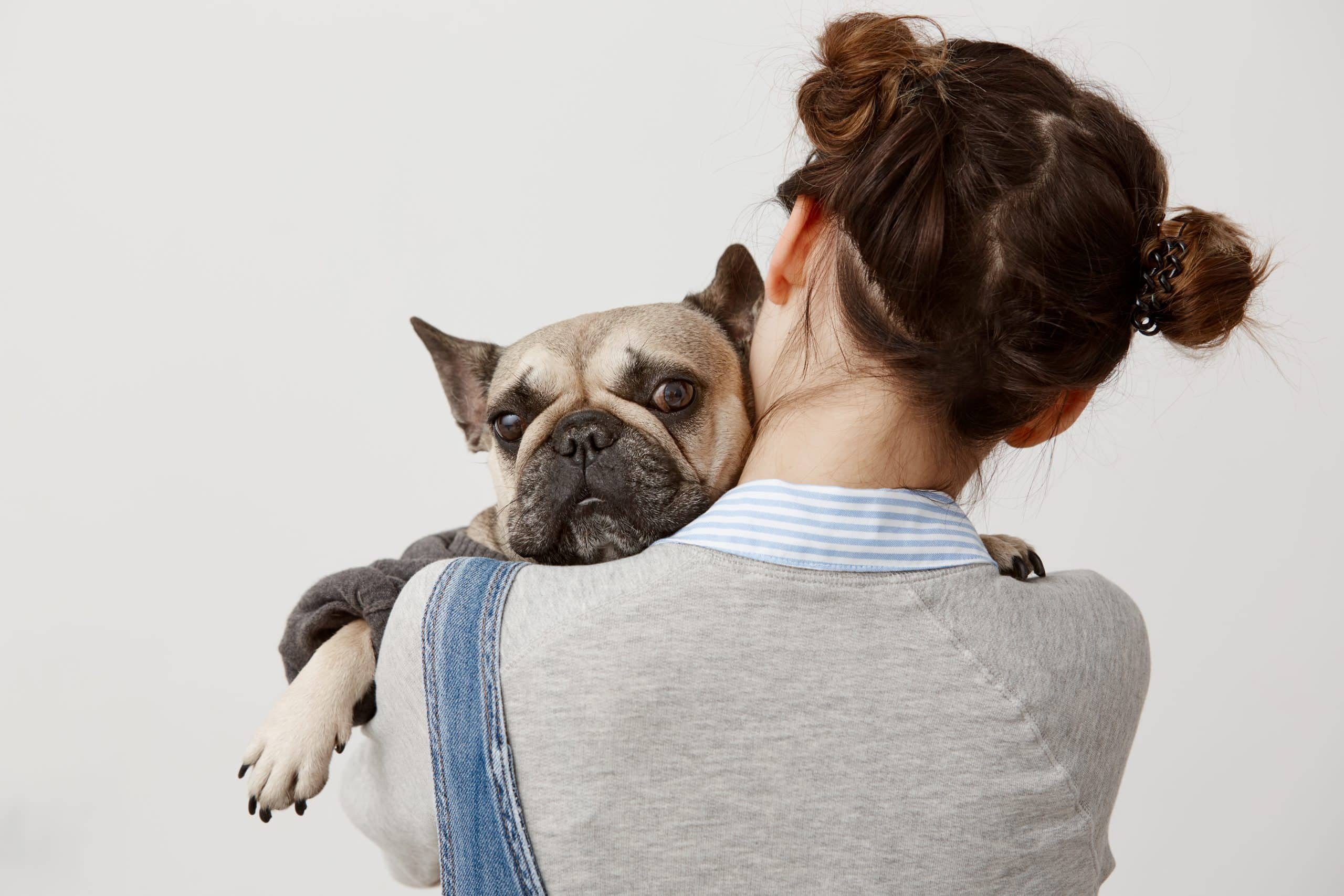 Câinii pot fi vindecați de anxietatea de separare/ Freepik