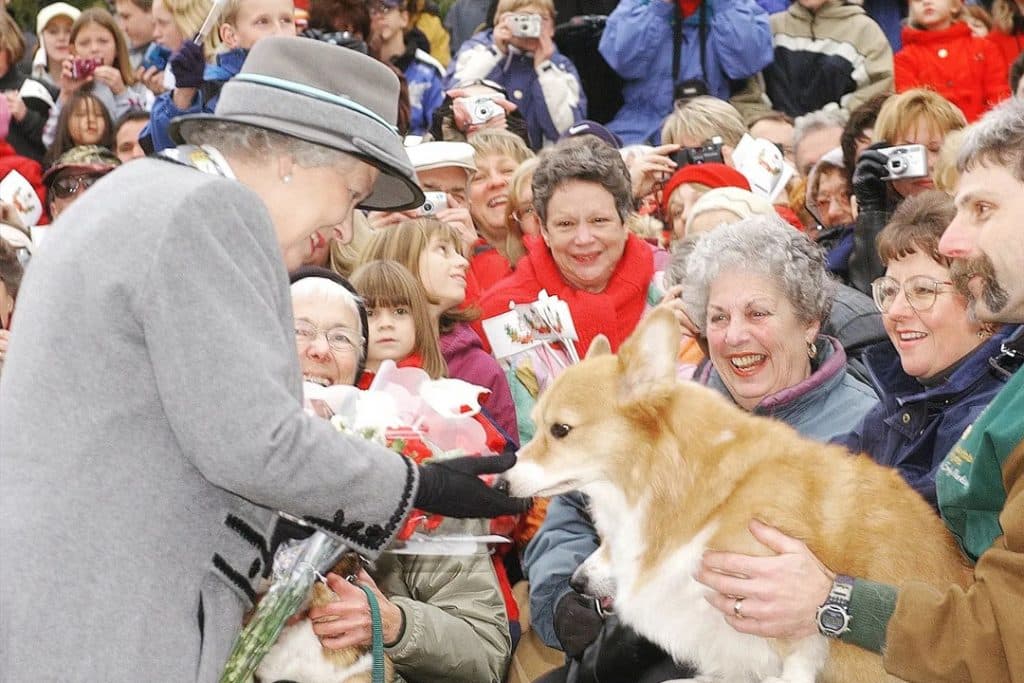 Cine va avea grijă de câinii Reginei Elisabeta a II-a/ Instagram