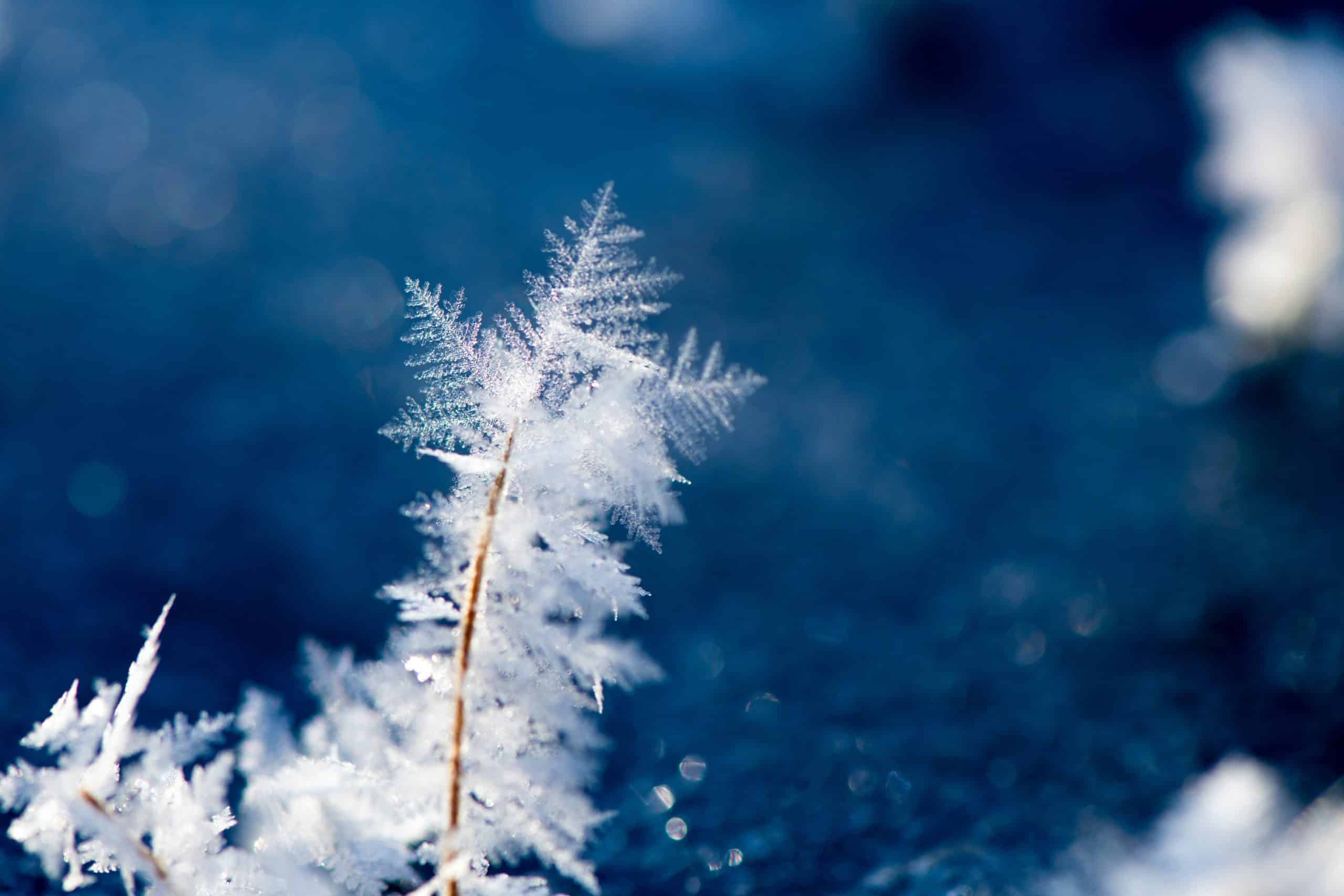 Temperatură de minus 31 grade Celsius înregistrată la Întorsura Buzăului/ Pexels
