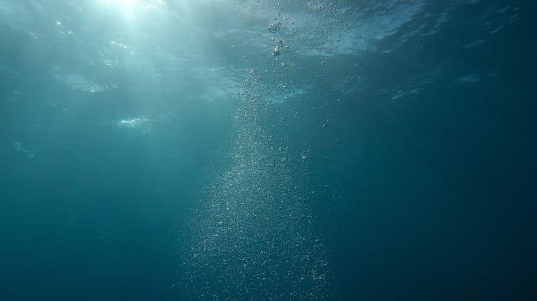 Temperatura oceanelor lumii a crescut la un nivel record/ Pexels