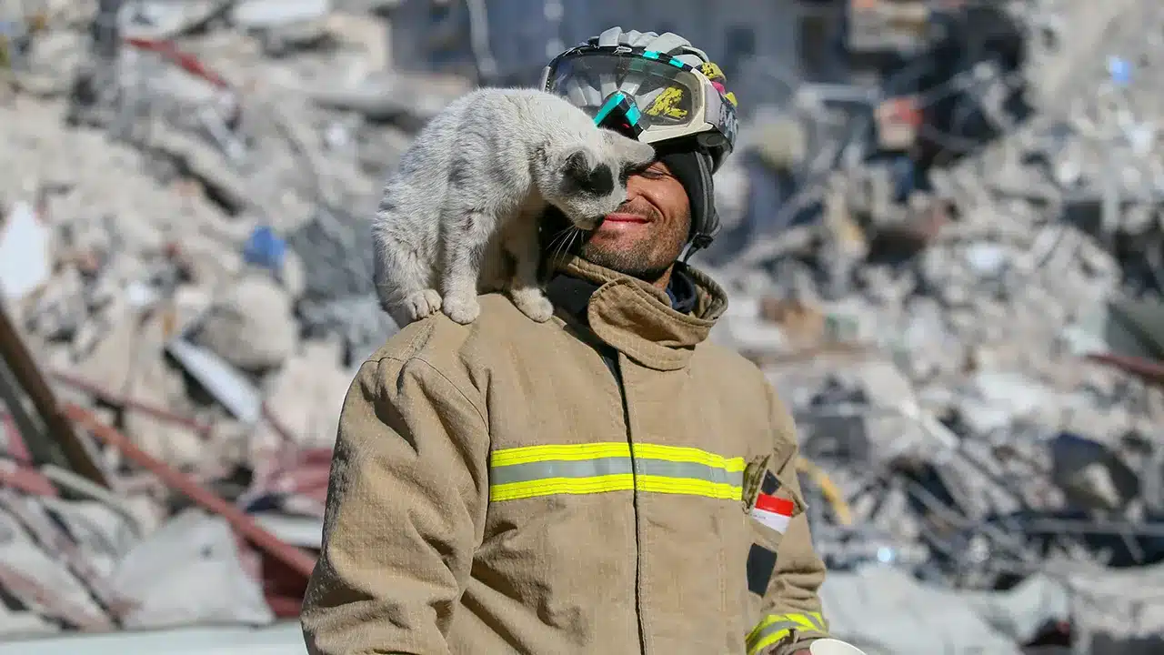 Momentul emoționant când o pisică scoasă de sub dărâmături în Turcia refuză să-și părăsească salvatorul/ Credit foto: Fox 5 New York