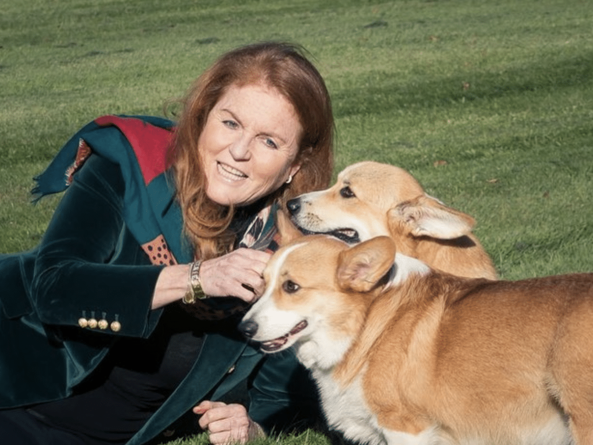 Câinii reginei Elisabeta simt prezența acesteia și după moarte. Ce reacții au patrupezii la șapte luni de la decesul monarhului/ Women's Health